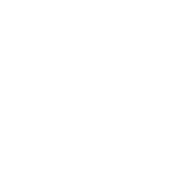 Flush Set Ring - CRISLU